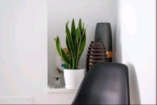 2 bedroom Canal View, near Kings Cross & Camden - London - 4