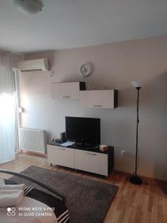 Apartmana DiV 2 - Novi Sad - 5