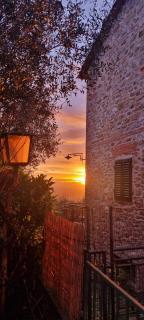Affittacamere "Fuerte" Montevettolini Tuscany - 9