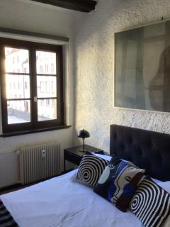 Little Bartholdi - Appartement Colmar Hyper Centre - Colmar - 2
