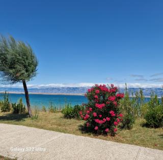 Villa Renata - 1