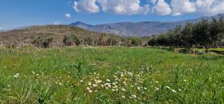 Miri's vacation house - Vlora - 3