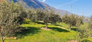 Miri's vacation house - Vlora - 2