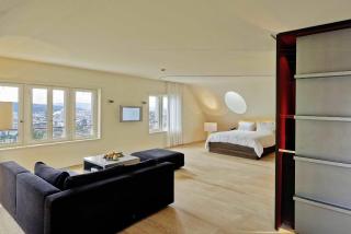 Sorell Hotel Rigiblick - Studios & Spa Suites - Zurigo - 1