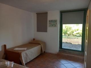 Casa de Andrães Pomar - Marco de Canaveses - 2