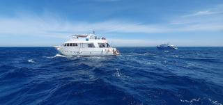 Hurghada Tours - Hurghada - 5