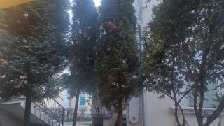 Mrvica - Vrnjačka Banja - 5
