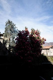 L&B HOUSE - Orta San Giulio - 2