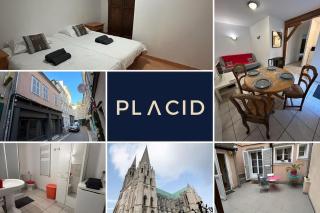 Le Montagnard, RDC 1 chambre - Chartres - 5