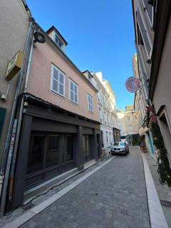 Le Montagnard, RDC 1 chambre - Chartres - 1