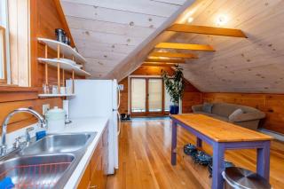 Bright and Cozy Treehouse Apartment - Burlington - 8