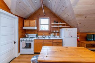 Bright and Cozy Treehouse Apartment - 4