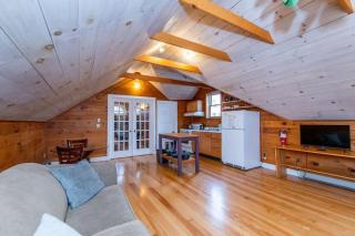 Bright and Cozy Treehouse Apartment - Burlington - 5