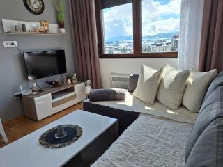 Apartman Bogdanović NLT LUX - Zlatibor - 8
