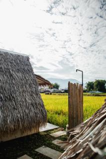BAMBOO Shack & BAMBOO Cabin - 5