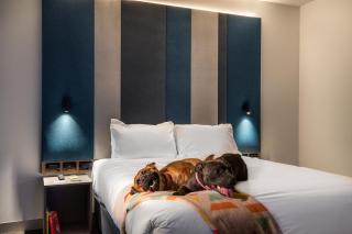 Ink Hotel Melbourne Southbank - Melbourne - 3