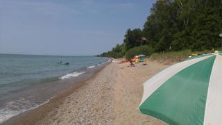 Shamrock Cottage - Port Albert - 4