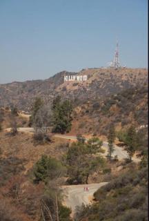 Beautiful Modern Apartment in Hollywood-3707 - 2