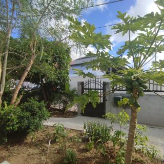 Maison moderne à marigot - - 8