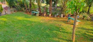 Kuttickattil Pool Home Stay Kumarakom - Kumarakom - 9