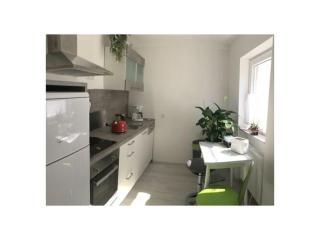 Apartment at the edge of the forest - 3