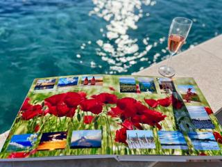 Villa Vinova Loza - Kaštelir - 8