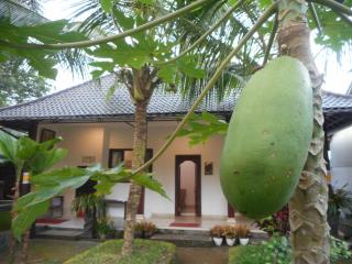 Manik Villa Besakih - Besakih - 6
