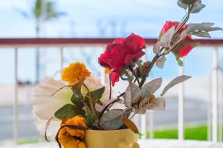 Angelina - La002 - Cagnes-sur-Mer - 3