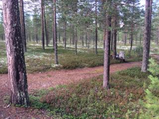 Rena Hostel IVAR - 1