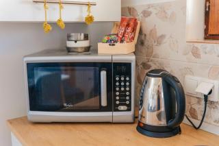 River house "Green butterfly" - 1