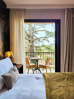 Hotel Bastide & SPA - Villa de Lourmarin - Lourmarin - 4