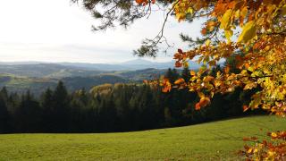 Między Wierchami - Ponice - 6