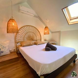 LOFT COSY SUR MER - Filaos - 1