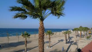 Athenian Riviera Beach front apartment 2 minutes from Tram stop - Atene - 7