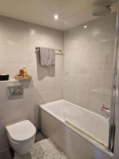Appartement de standing au centre de Genève - Ginevra - 3
