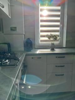 Cozy Holidays in Center of Suceava Esplanada - Suceava - 8
