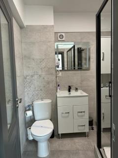 Cozy Holidays in Center of Suceava Esplanada - Suceava - 1