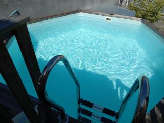 Bungalow des papayes - Saint-Louis - 2