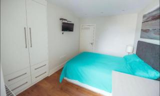 Splendid Euston flat - London - 4