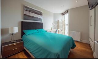 Splendid Euston flat - London - 3
