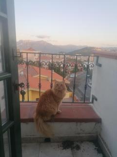 Coros - Nuoro - 9