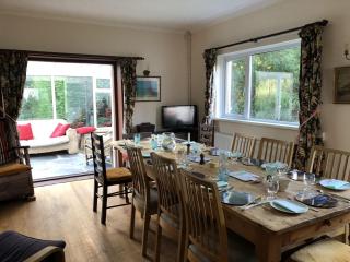 Ffynnonddewi Cardigan - 8