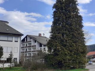 Ferienwohnung Hörgering - Siegsdorf - 9