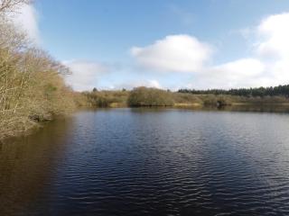 Swan Lake - Boyle - 9