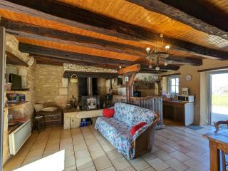 Maison de campagne avec jardin près d'Abbaye de Fontgombault et station thermale La Roche-Posay - FR-1-591-110 - Pouligny-Saint-Pierre - 7