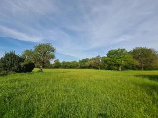 Maison de plain-pied au bord d'un étang en Berry, avec services inclus et garage pour vélos/motos - FR-1-591-353 - 3