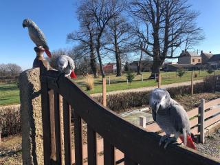 Maison de charme en Berry près d'un golf & spa, jardin d'hiver, vélos, animaux bienvenus - tout inclus - FR-1-591-332 - 3