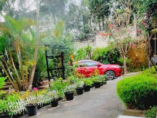 Mountain Paradise Homestay - Bandarawela - 8