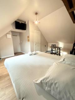 Onyx Green - Saint-Aignan - 8