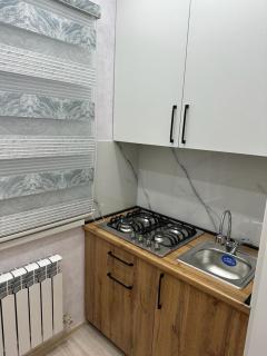 3х комнатная квартира - Shymkent - 9